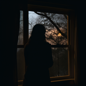 hoody_std_the_silhouette_of_a_person_looking_out_of_a_window_721bb47e-0042-4def-b986-72201ce9ea0f